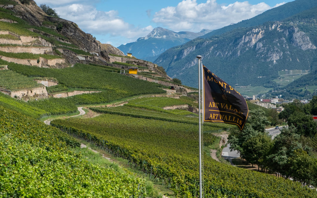Ouverture de la Résidence Mont d’Or Art Valais | Art Wallis